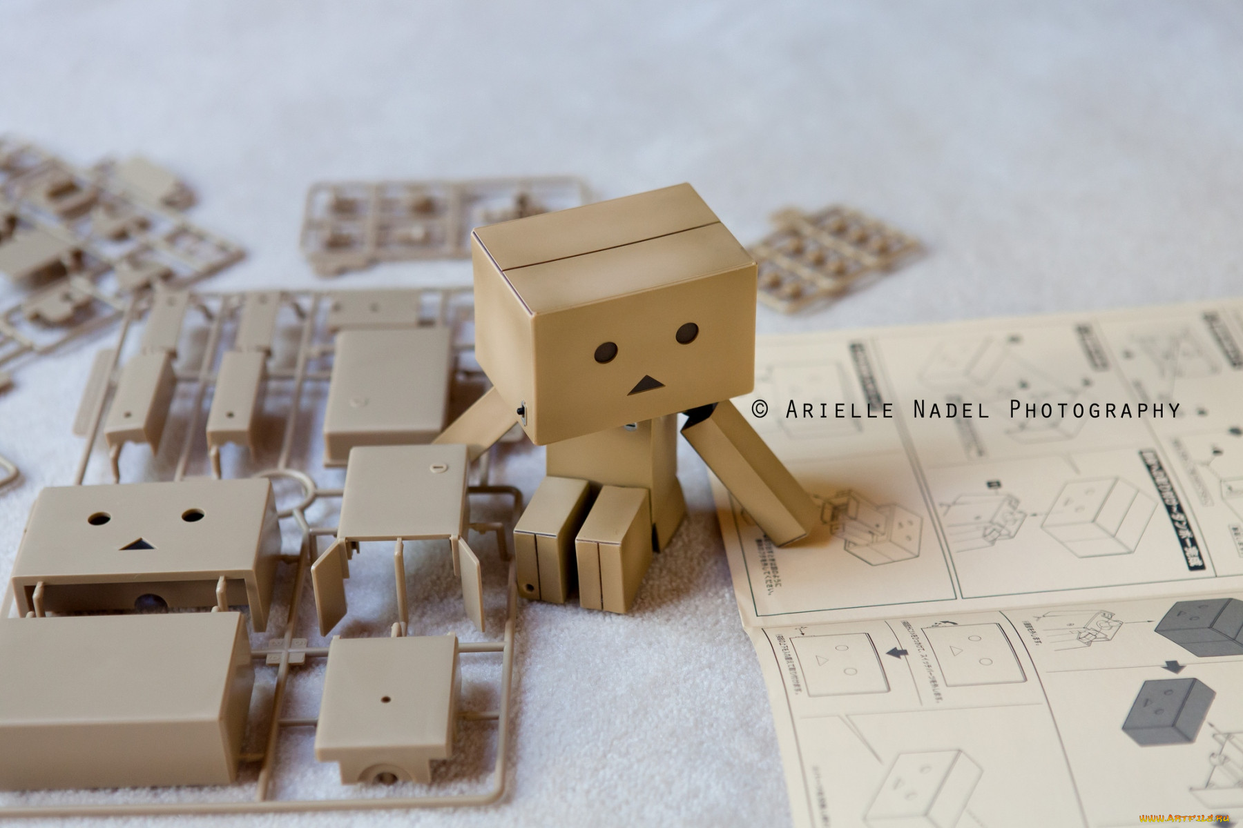 , , danboard, , 